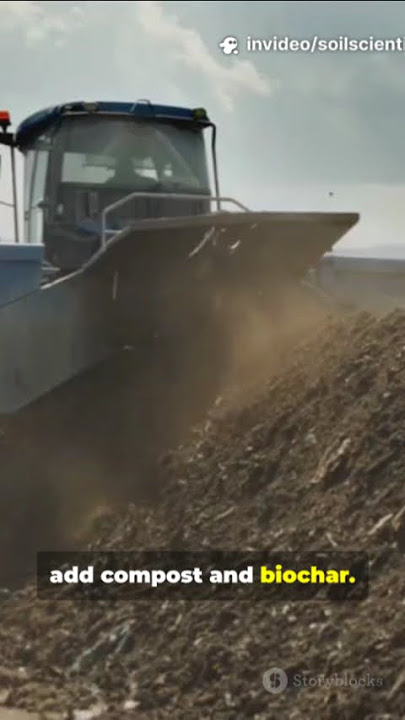 Transforming mining-affected lands through eco-friendly reclamation strategies #soil #researchers