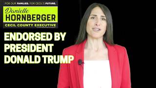 Danielle Hornberger for Cecil County Executive Television Ad (4/28/20)