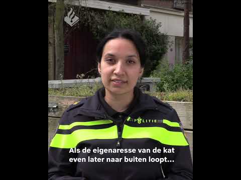 Doodslaan kat Tweede Jan van der Heijdenstraat