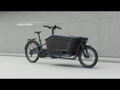 urban e-bike Rayvolt Clubman main image 1