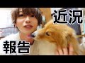 あけましておめでとうございます…近況報告です
