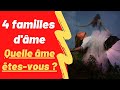 Les 4 vritables familles dme  a laquelle appartenezvous 