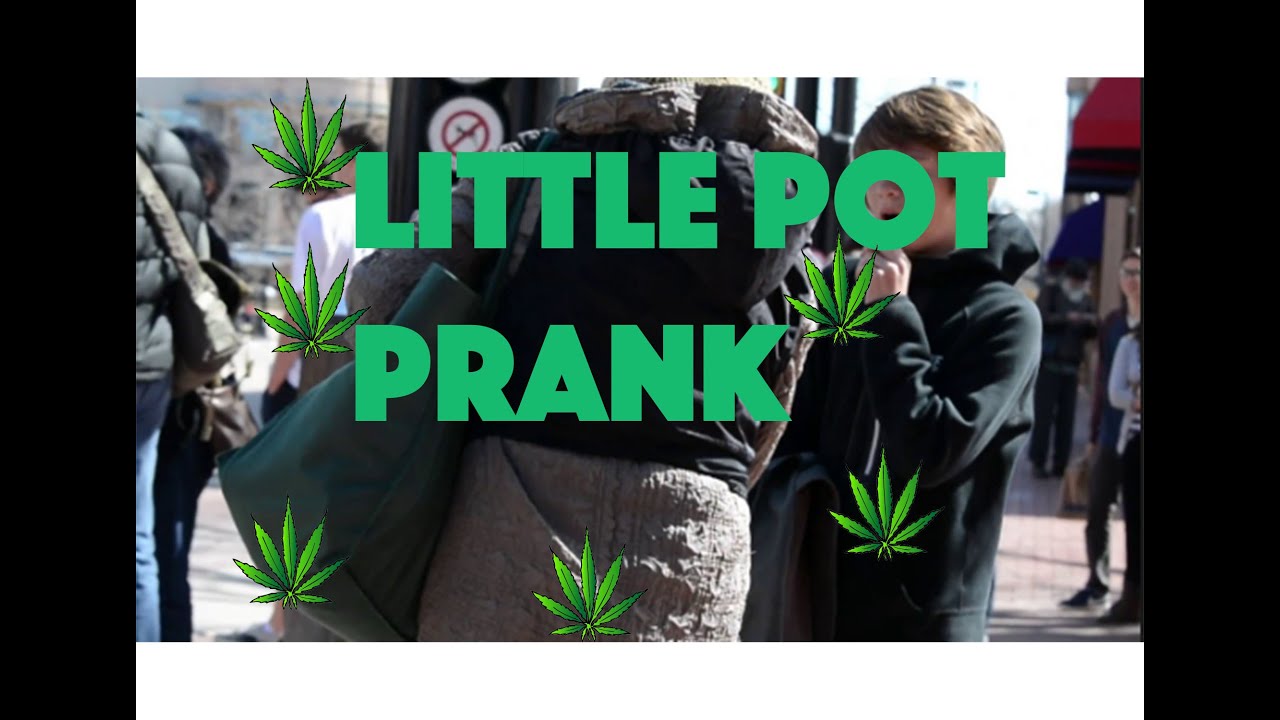 11 year old want a little pot prank