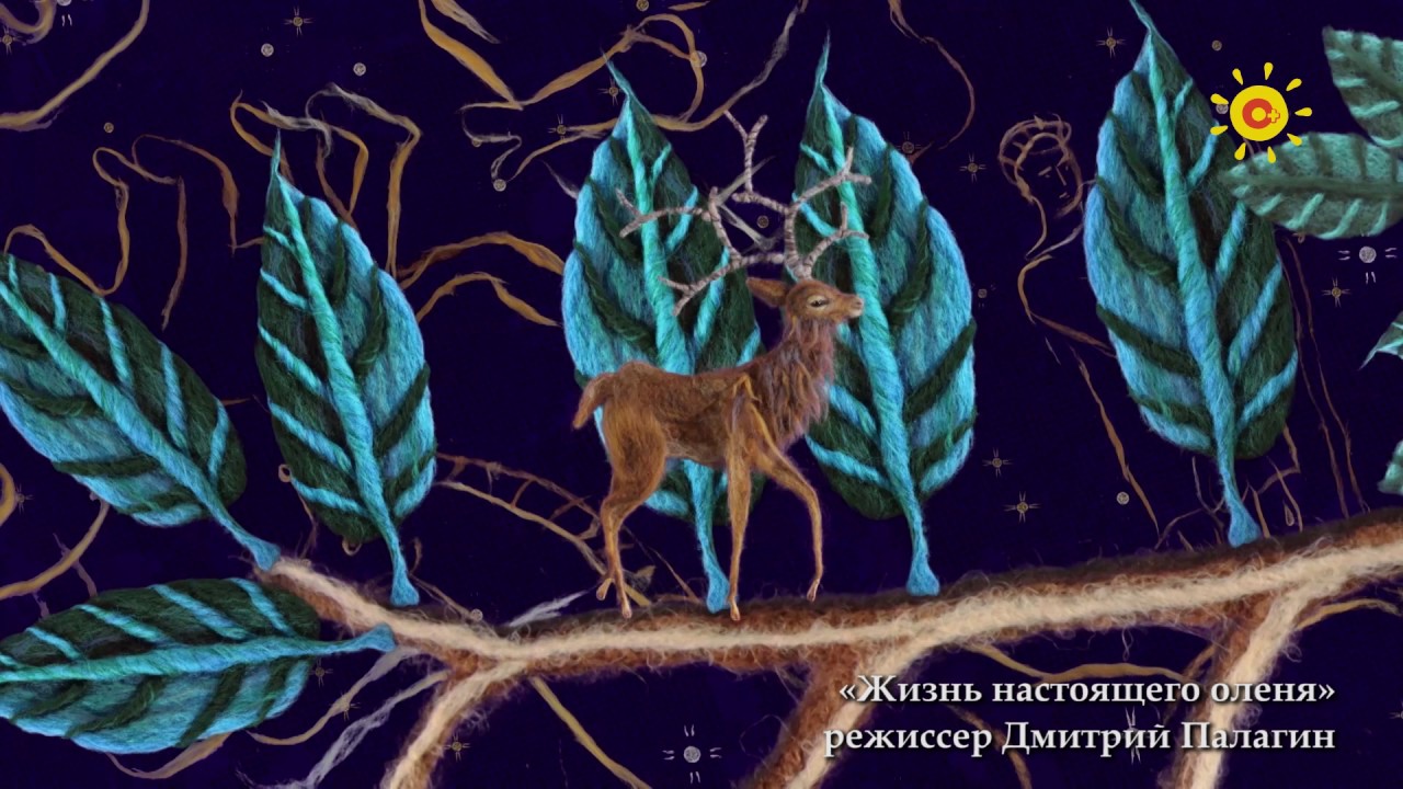 Жизнь настоящего оленя - YouTube