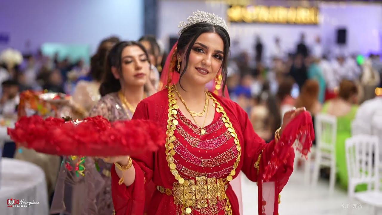 اضخم عرس و زرنا عفريني حنة (المهندس حسن ♥️ الدكتورة اڤين) قرية احرزة كروب آرام حسين حج ناصر