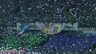 Koreo persebaya vs persib
