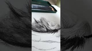 HOW TO USE WATERCOLOR PENCILS #watercolorpencil #watercolorpainting #fabercastellpencils