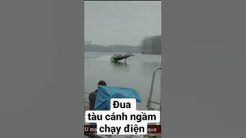 đua tàu cánh ngầm chạy điện