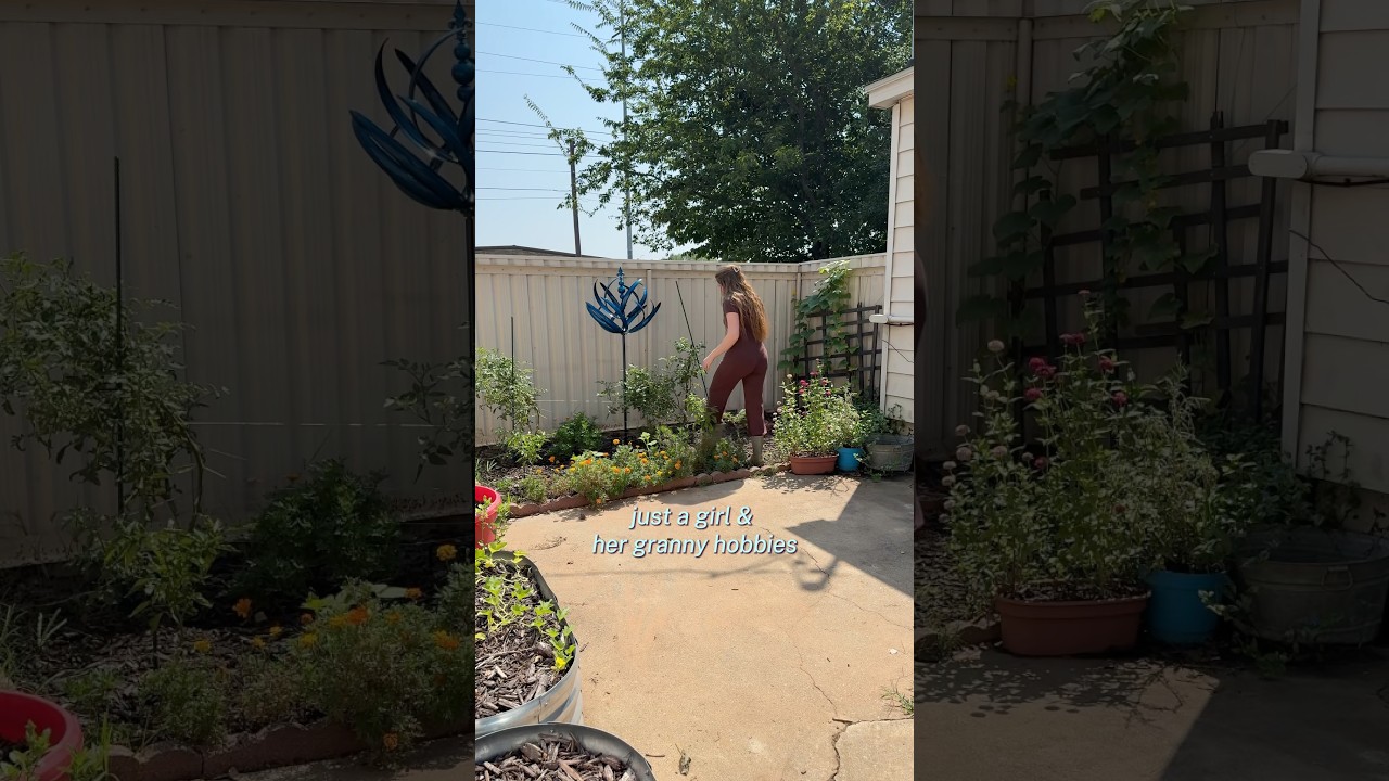 hopefully my plant survives🦋🪴 