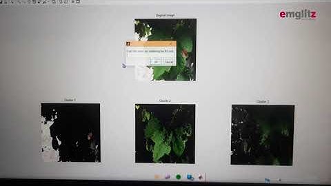 Project:-3 grapes leaf disease identification using image processing | emglitz _technologies