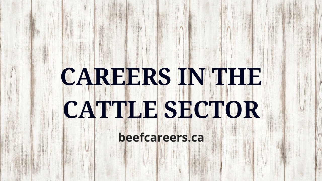 Career Opportunities in Livestock Health, Nutrition & Research