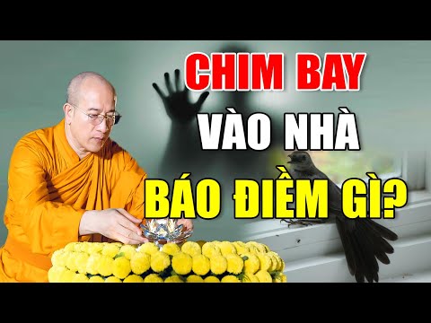 Video: Chiến đấu xuất thần là gì và nó ảnh hưởng như thế nào đến sự phát triển của nghệ thuật