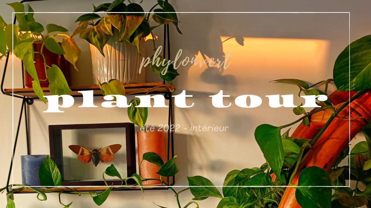 plant tour 2022