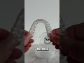 Are teeth bones?