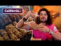 O MELHOR DAS COMIDAS CALIFORNIANAS | Viagem Califórnia | Mohamad Hindi