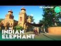 Season Finale - Indian Elephant Habitat - Planet Zoo Franchise