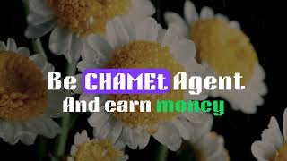 How To Make Money On Chamet Fast Bangla