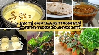 ഇന്ന് അല്പം മധുരം ആവാം || Evening routine || Macaroni payasam || beaf curry