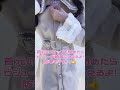 🎀冬の量産型コーデ💘🎀DearMyLoveの優勝コート💞 #夢展望 #ディアマイラブ #地雷系 #量産型 #推し活 #shorts