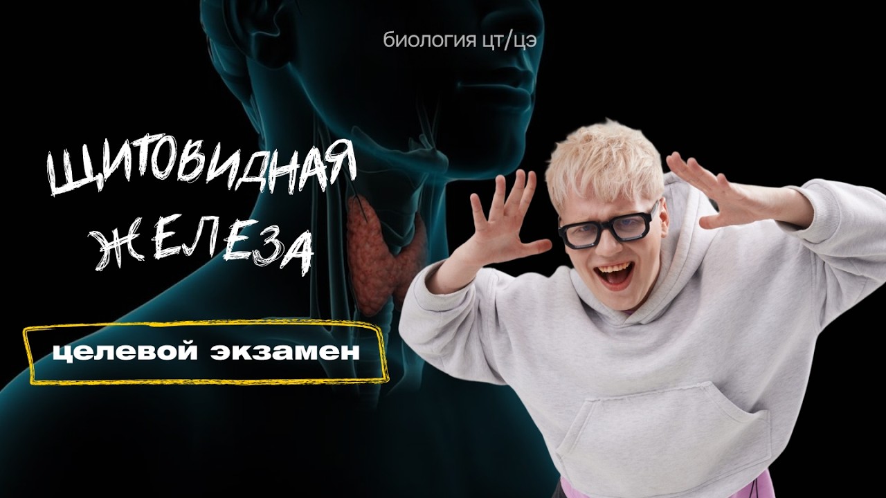 ЩИТОВИДНАЯ ЖЕЛЕЗА | Целевой экзамен