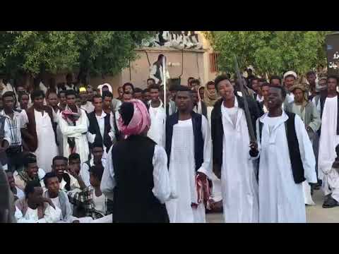 الاستاذ أوهاج عمر في اروع شتم بجاوي