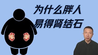 为什么肥胖的人容易得肾结石