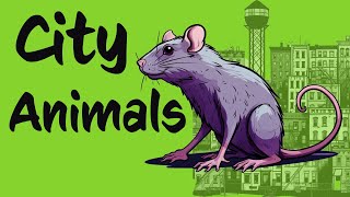 Which ANIMALS live in the CITY? +bonus DOWNLOADS