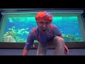 Blippi Aquarium Song | Fish Song | Educational Songs For Kids Mp3 Song