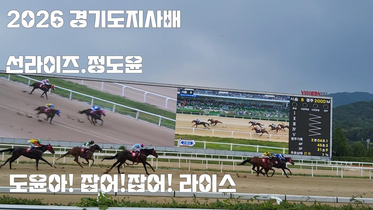 경마의 추입을 보여준 선라이즈 (경기도지사배 생라이브쇼)