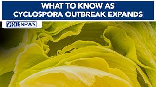 Cyclospora outbreak linked to lettuce expands