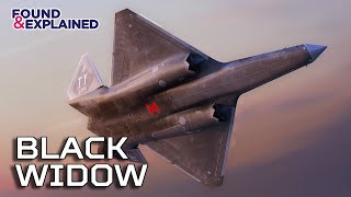 Top Secret Stealth Fighter Jet... We Never Got  YF23 Black Widow 2