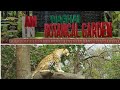 Vansda National Park &amp; Botanical Garden tour #ankitparekh #zoo #animals #plants #garden #xap