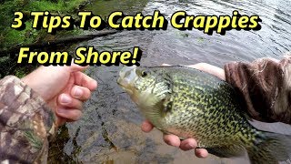 3 Crappie Fishing Tips Guaranteed To Catch Crappies From Shore! 