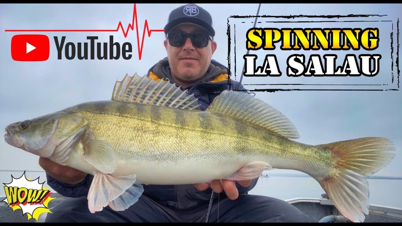 Pescuit pe OLT. Spinning la salau. Zander fishing. RTB Fortezza. Keitech Easy Shiner.