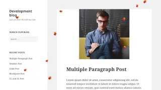 Autumn Falling Leaves Free Wordpress Plugin screenshot 5