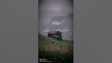 سورة البقرة / quran Pak translation #duet #holybook