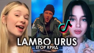 ТЕПЕРЬ ОТ ВСЕХ ПРОБЛЕМ МЕНЯ НЕСЁТ LAMBO TIK TOK ПОДБОРКА | ЕГОР КРИД - LAMBO URUS ПОДБОРКА ТИКТОК