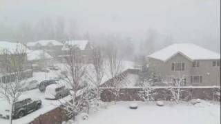 Snoqualmie Ridge Snow January 17-18, 2012