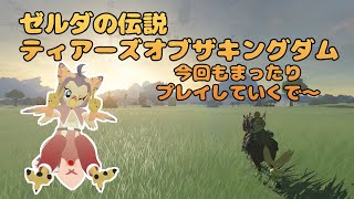 【ケモノ系VTuber】ハイラルの地に、もう一度。 #22【TotK】