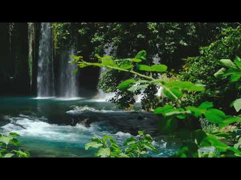 Relaxing Nature Music 1 Hour loop