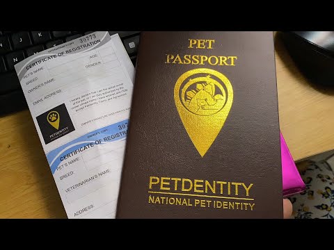 Video: How To Make A Passport For A Cat