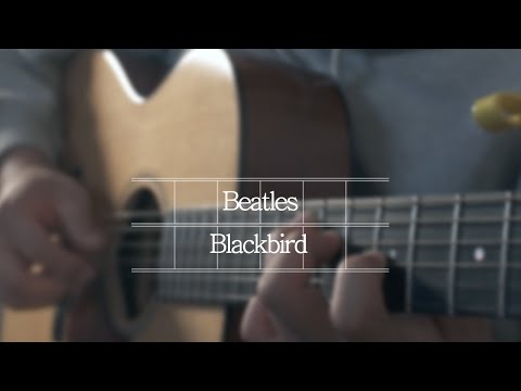 The Beatles - Blackbird by David Chun