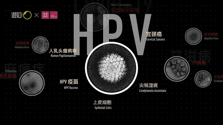 女生必看！HPV疫苗到底要不要打？各价疫苗有什么区别？HPV病毒和宫颈癌离你有多远？ - 天天要闻