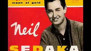 The Diary - Neil Sedaka Resimi