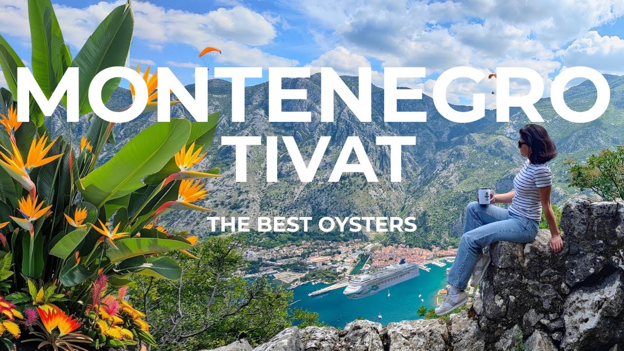 ТИВАТ — витрина роскоши Черногории 💎 Где попробовать лучшие устрицы и полюбоваться видом на Котор!