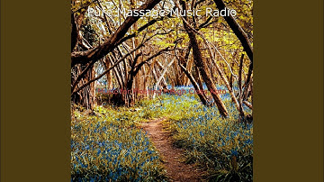 Pulsating Backdrops for Yoga Flow