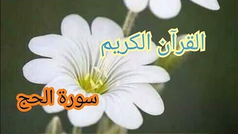 القرآن الكريم  سورة الحج آية 18 إلى الآية 38