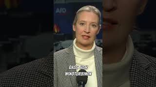 Windräder: Energie-Unsicherheit? Experte packt aus im Split-Screen! #shorts