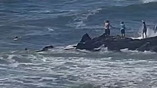 Video shows 9 people being rescued from the water in Ocean City, NJ