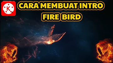 Cara Membuat Intro Fire Bird di Android | KineMaster